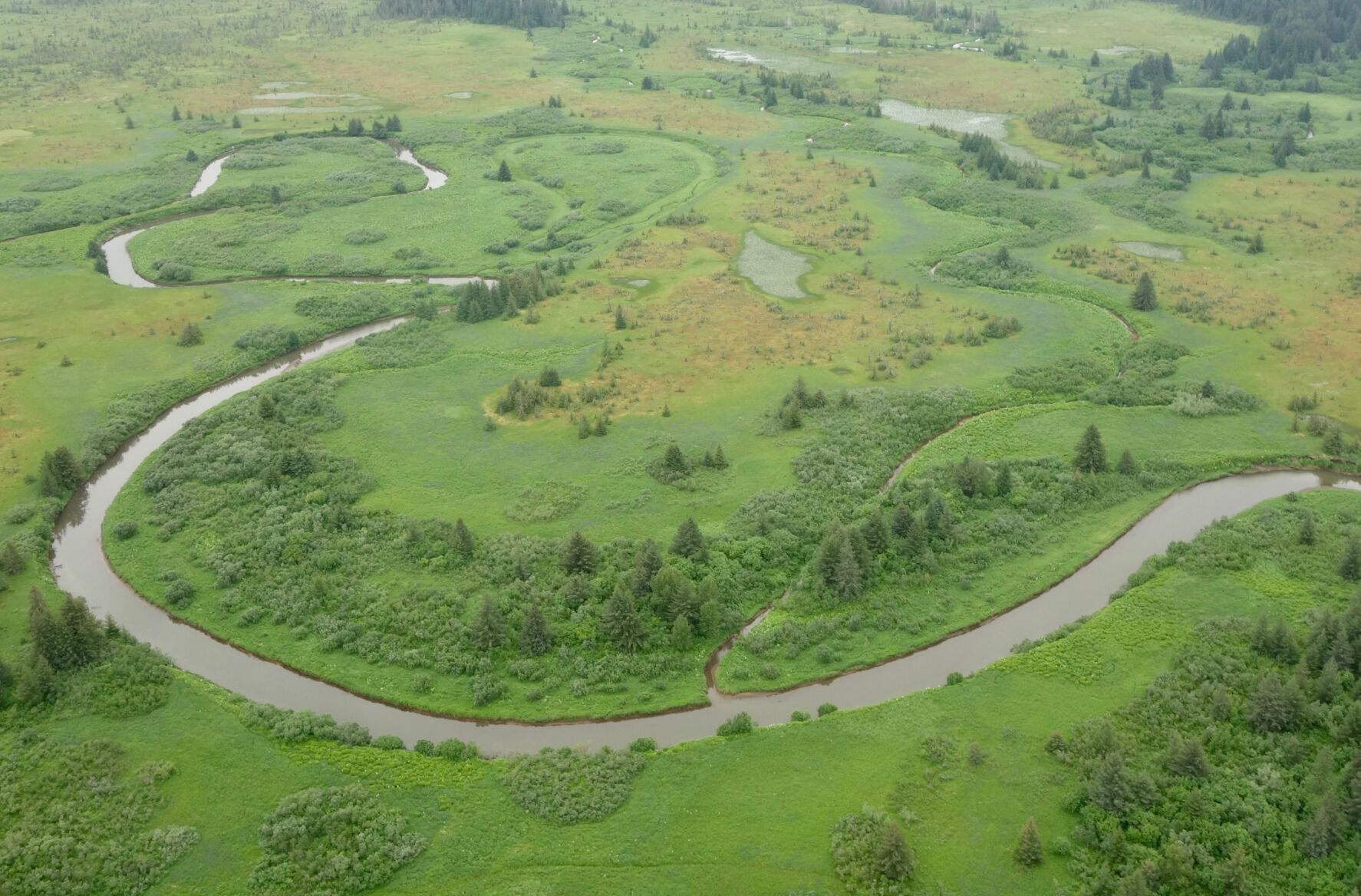4. muskeg.jpg